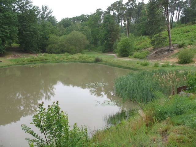 Etang de la porte Baudet 01